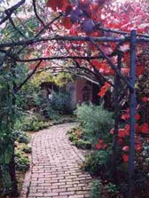 Adelaide Hills Country Cottages - The Nest - Brisbane 4u 2