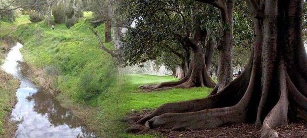 Gawler SA Tourism Brisbane