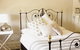 The Matchbox House Bed And Breakfast - thumb 9