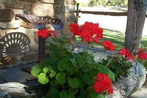 Adelaide Hills Country Cottages - Gum Tree Cottage - Brisbane 4u 3