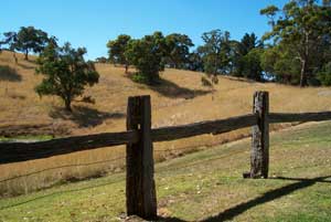 Adelaide Hills Country Cottages - Gum Tree Cottage - Brisbane 4u 4