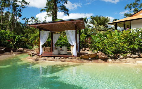 Misty Mountains Tropical Rainforest Romantic Retreat - Brisbane Tourism 1