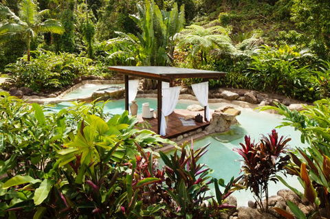Misty Mountains Tropical Rainforest Romantic Retreat - Brisbane Tourism 3