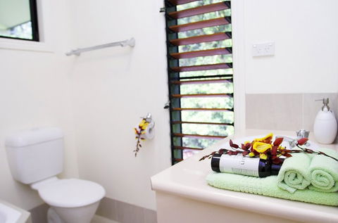 Misty Mountains Tropical Rainforest Romantic Retreat - Brisbane Tourism 5