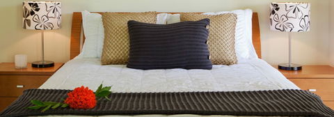 Misty Mountains Tropical Rainforest Romantic Retreat - Brisbane Tourism 7