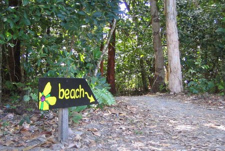 Cape Tribulation Camping - Tourism Brisbane 2