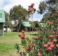 Derwent Bridge Chalets and Studios