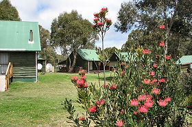 Derwent Bridge Chalets And Studios - Tourism Brisbane 0