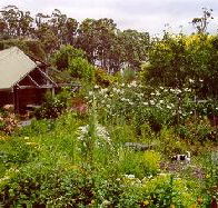 Plovers Ridge Country Retreat - Tourism Brisbane