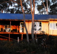 Inspirations on Bruny