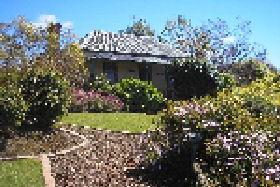 Camellia Cottage At Maple Hill - Tourism Brisbane 0