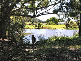 Newry Park Cottage - Tourism Brisbane 0