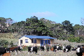 Marrawah TAS Tourism Brisbane
