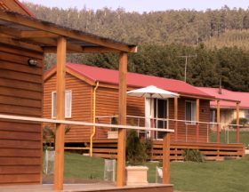 Maydena Country Cabins Accommodation & Alpaca Stud - Tourism Brisbane 0