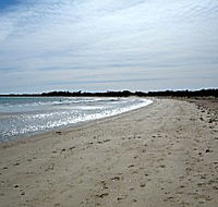 Greens Beach Caravan Park - Brisbane Tourism