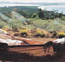 Morella Island Retreats P/L - Brisbane Tourism
