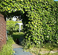 Kirra Guest House - Tourism Brisbane