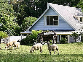 Hide-Away Cottage Retreat - Tourism Brisbane 0