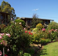 Mole Creek Holiday Village - Tourism Brisbane