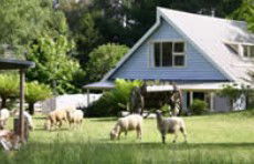 Hide-Away Cottage Retreat - Tourism Brisbane 2