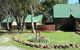 Derwent Bridge Chalets And Studios - thumb 2