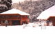 Stringy Bark Holiday Accommodation - thumb 1