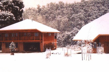 Stringy Bark Holiday Accommodation - Tourism Brisbane 1