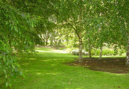 Camellia Cottage At Maple Hill - Tourism Brisbane 3