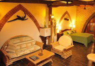 Cedar Park Rainforest Resort - Tourism Brisbane 0