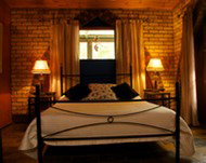 Cedar Park Rainforest Resort - Tourism Brisbane 3