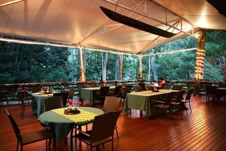 Cedar Park Rainforest Resort - Tourism Brisbane 5