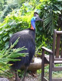 Sanctuary Retreat - Tourism Brisbane 2