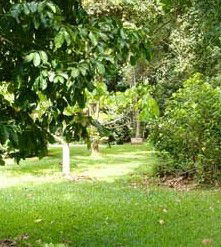Kingfisher Park Birdwatchers Lodge - Brisbane Tourism 0