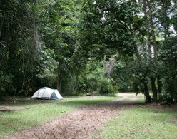Kingfisher Park Birdwatchers Lodge - Brisbane Tourism 5