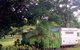 Cooktown Orchid Travellers Park - thumb 0