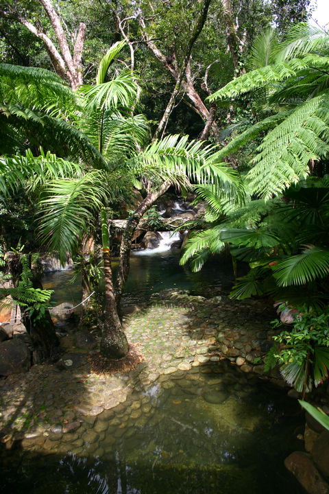 Daintree Secrets (Award Winning Retreat) - Brisbane 4u 4