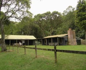 Tree Fern Lodge - Brisbane 4u 0