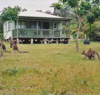 Berringer Lake Holiday Cottages - Brisbane Tourism