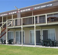 Coral Tree Lodge Tourist Park - Tourism Brisbane