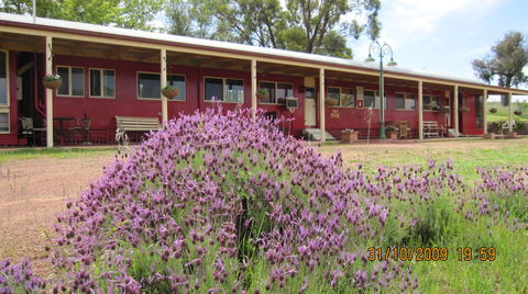 Last Stop Ambledown Brook - Tourism Brisbane 3
