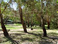 Woods Reserve - Brisbane Tourism 0