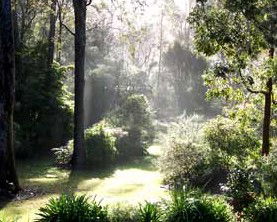 Casuarina Holiday Cottages - Tourism Brisbane 1