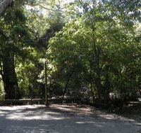 Booderee National Park Green Patch camping area - Tourism Brisbane