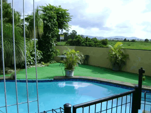 Poinciana Motel - Tourism Brisbane 1