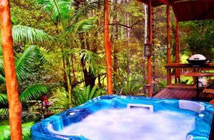 A Waterfall Hideout-Rainforest Cabin For Couples - Tourism Brisbane 5