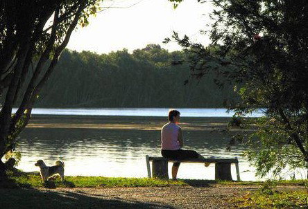 Fishing Haven Caravan Park - Tourism Brisbane 2