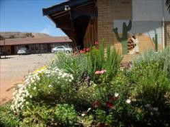 Silver Spade Motel - Tourism Brisbane 3