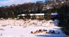 Cooba Holiday Motel - Tourism Brisbane 2