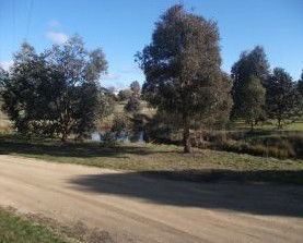 Delegate Caravan Park - Tourism Brisbane 0