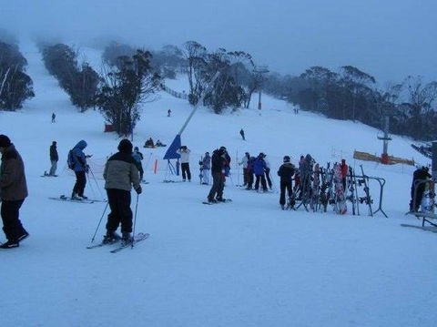 Black Bear Inn - Tourism Brisbane 1